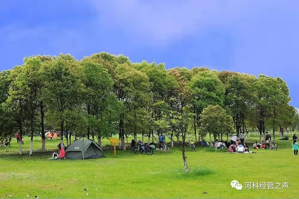 2138cn太阳集团古天乐经济管理学院文明祭祀 平安清明