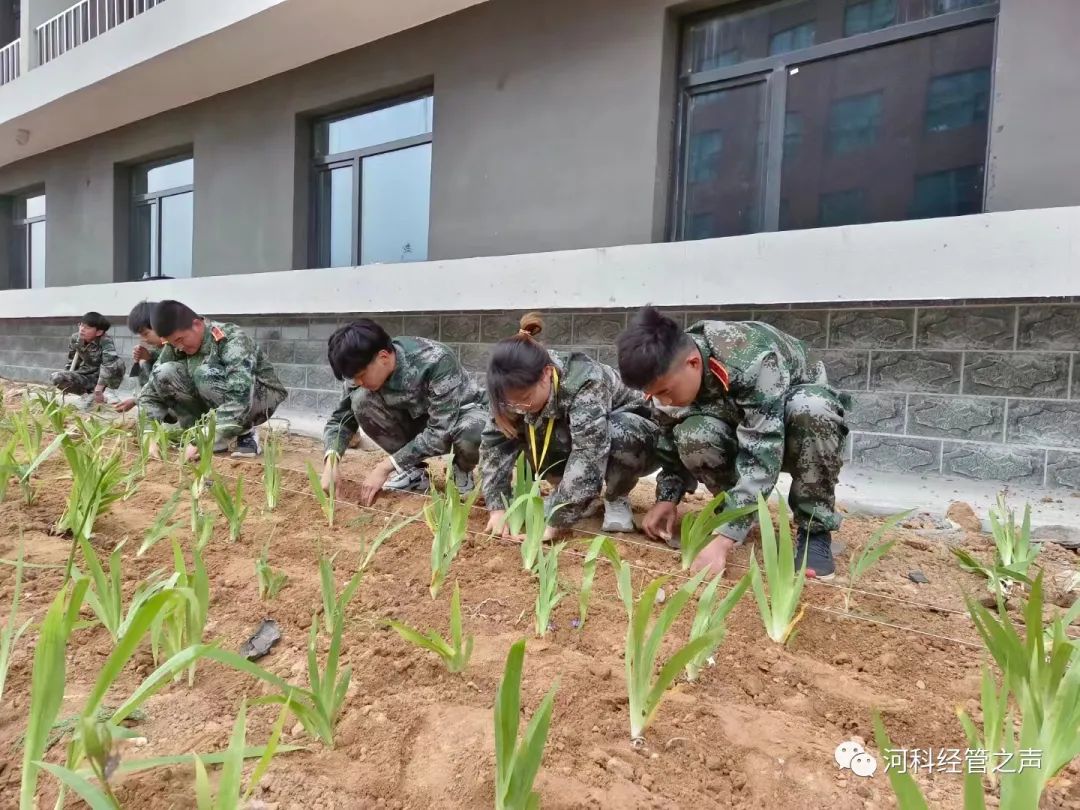 2138cn太阳集团古天乐//经济管理学院//劳动教育