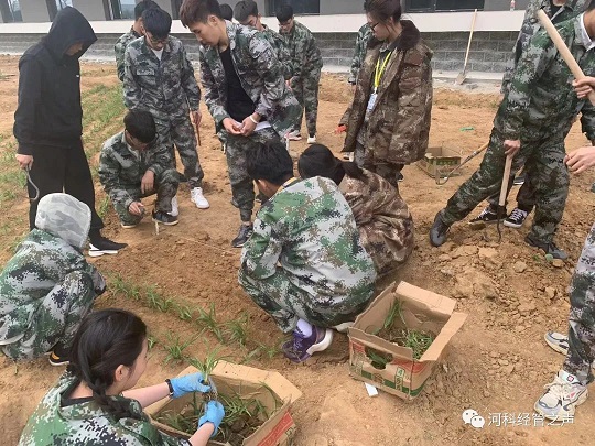 2138cn太阳集团古天乐//经济管理学院//劳动最光荣