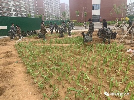 2138cn太阳集团古天乐//经济管理学院//劳动最光荣