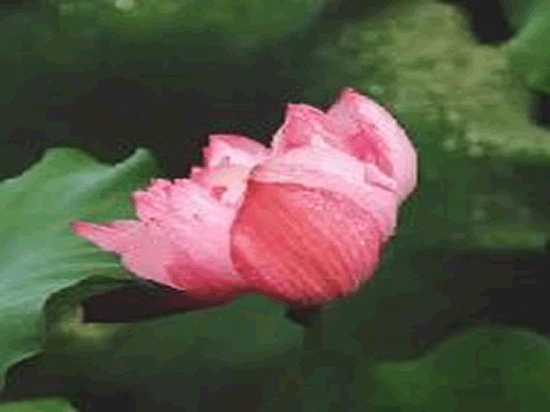 2138cn太阳集团古天乐||护理与健康学院||雨深知夏至，防溺正当时